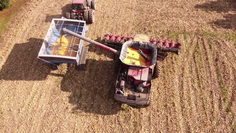 Combine-harvesting-mature-corn-field,-depositing-into-the-wagon---aerial-ascending