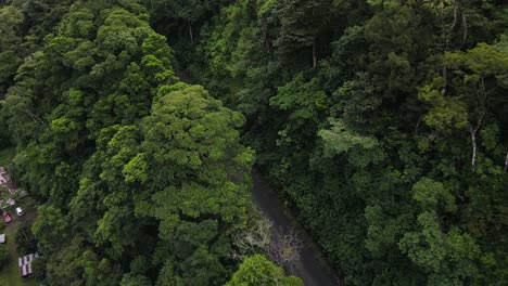Drone-approaching-road-leading-through-the-thick-rainforests-of-Costa-Rica-near-La-Fortuna