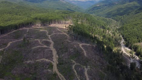 Aerial:-Deforestation-at-hill-forest-in-Romania,-Central-Europe---drone-tilt-down-shot