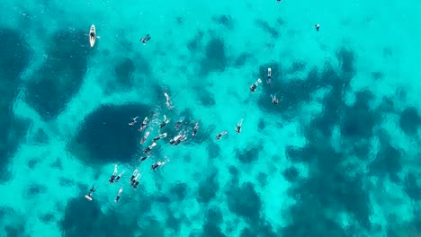 A-large-group-of-snorkelers-drifting-across-the-tropical-coloured-waters-of-the-Great-Barrier-Reef-Australia