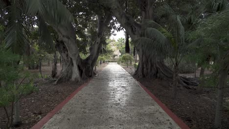 Straight-Path-Leading-to-Fountain-Between-Two-Big-Trees-in-San-Anton-Gardens