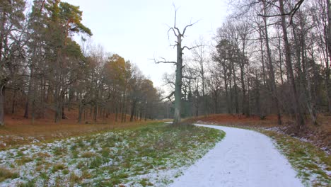 Malerische-Aussicht-Auf-Eine-Schneebedeckte,-Leere-Straße-Mit-üppigen-Bäumen-Im-Winter-In-Der-Schwedischen-Landschaft
