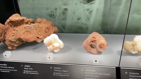 Exhibición-De-Gemas-De-Tucson:-Exhibición-De-Piedras-De-Estromatolita,-Estilbita,-Yeso,-Incoloras,-Turquesas-Y-Variscita-En-Una-Vitrina