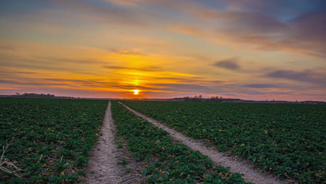 Vast-open-field-with-tractor-tracks-leading-to-horizon-during-colorful-sunset,-timelapse