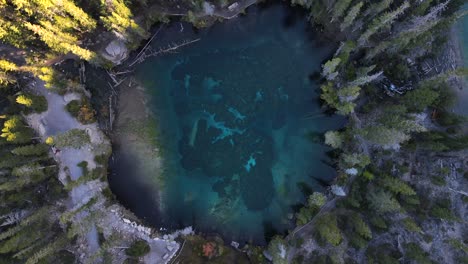 Drone-aerial-vertical-view-of-Grassi-Lake-and-its-transparent-waters-from-above-surrounded-by-woods-in-Alberta,-Canada