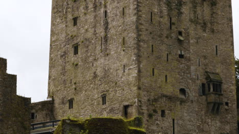 Blarney-Castle---Old-Castle-Standing-Between-The-Green-Garden-Trees-Near-Cork,-Ireland---tilt-down-shot