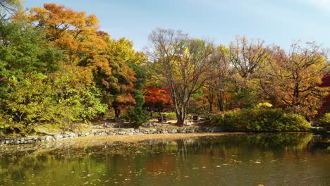 People-walking-along-Chundangji-pond-in-Autumn-foilage-Changgyeonggung-Palace,-covid-19,-Seoul-South-Korea