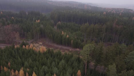 Drone-flight-over-a-colorful-moody-autumn-landscape-on-a-foggy-and-cold-morning