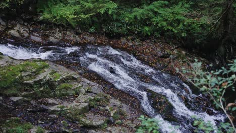 Pure-Mountain-Stream-Flowing-from-the-Amidaga-Falls-in-Gujo,-Rural-Gifu-Japan