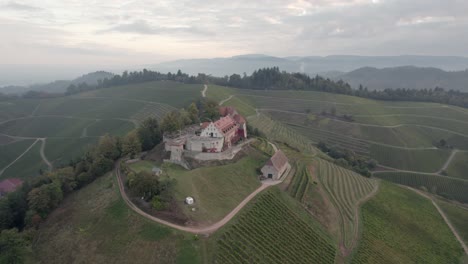 Aerial-view-of-a-beautiful-building-in-the-middle-of-vineyards
