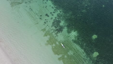 Aerial-fishing-boat-paddling-over-seaweed-farm-with-crystal-clear-ocean-water-and-coral-reefs-on-Atauro-Island,-Timor-Leste,-Southeast-Asia