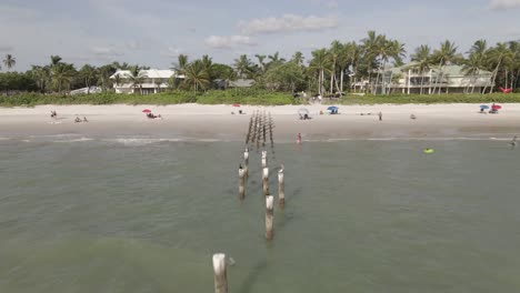 Aerial:-Pelicans-and-Cormorants-atop-old-pier-pilings-on-sandy-beach