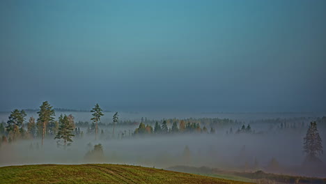 Early-morning-mist-traveling-through-forest-in-countryside