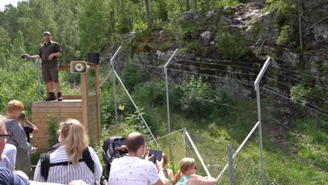 Zoomitarbeiter-Erziehen-Das-Publikum-Und-Halten-Rohes-Fleisch-In-Der-Hand,-Während-Wölfe-Hinter-Dem-Zaun-Laufen-–-Norwegischer-Bärenpark-Bjorneparken-–-Statisches-Handheld