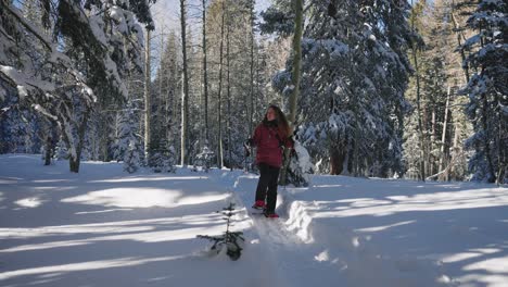 Mujer-Caminando-Por-La-Nieve-En-Un-Bosque