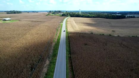 Luftbild,-Das-Dem-Auto-Auf-Einer-Langen-Straße-Durch-Ein-Maisfeld-In-Kentucky-Folgt