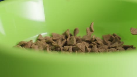 Blurry-foreground-pet-food-small-pieces-falling-in-a-green-bowl---Slow-motion-shot