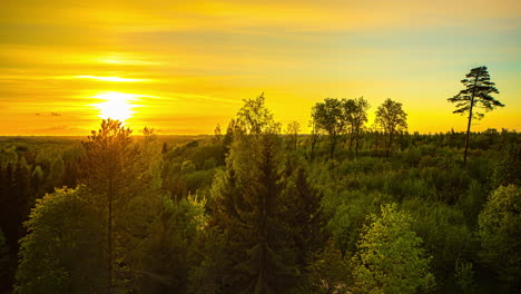 Wunderschöner-Gelber-Sonnenuntergang,-Der-Die-Lichter-über-Einem-Grünen-Borealen-Wald-Reflektiert