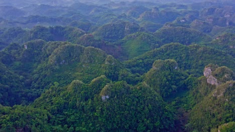 Flying-over-the-picturesque-forested-green-hills-in-Los-Haitises-National-Park,-Dominican-Republic---aerial-drone-shot