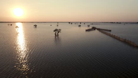 Golden-Sunset-over-the-Tonle-Sap-lake-flood-planes-as-the-floodwater-recedes-revealing-isolated-lonely-trees-and-an-arrow-headed-fish-trap