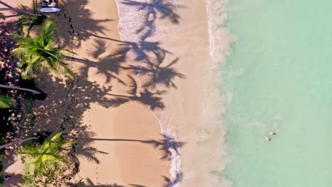 Bird's-Eye-View-Of-Playa-Bonita-Beach-In-Las-Terrenas,-Dominican-Republic---aerial-drone-shot