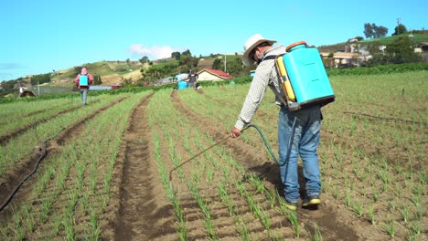 Cartago-Costa-Rica---10-De-Diciembre-De-2021:-Agricultores-Rociando-Pesticida-Con-Un-Pulverizador-Mecánico