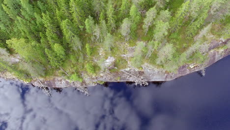 Hypnotizing-aerial-drone-shot-of-the-shoreline-of-a-forest-lake-in-the-boreal-wilderness