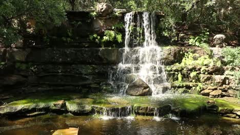 Waterfall-at-Zilker-Park