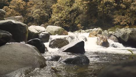 Entspannender-Flussstrom-In-Einem-Tropischen-Wald