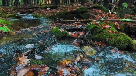 SLOW-MOTION-footage-of-a-swollen-stream-cascading-through-a-wet-forest-in-late-fall