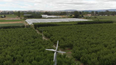 Aerial---New-Zealand-cherry-orchard-with-green-energy-windmills-and-mountains-in-background