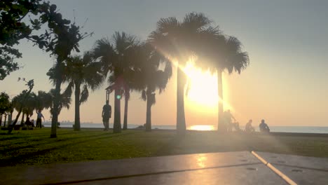 Time-Lapse-of-Palm-tree-and-people-from-a-park-bench