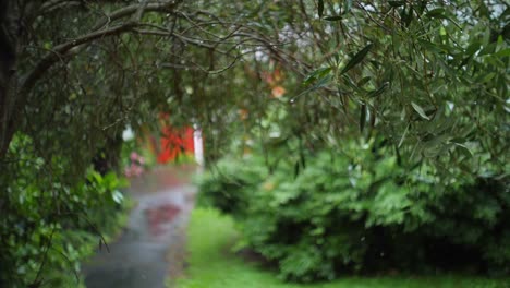 Rack-Fokusaufnahme-Durch-Baumzweige,-Während-Regen-In-Zeitlupe-Auf-Blätter-Fällt