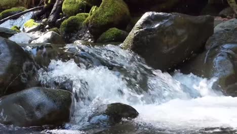Kamera-Zoomt-Aus-Dem-Wasser-Heraus,-Das-An-Einem-Warmen-Frühlingstag-über-Moosbedeckte-Felsen-In-Einem-Gebirgsbach-Fließt