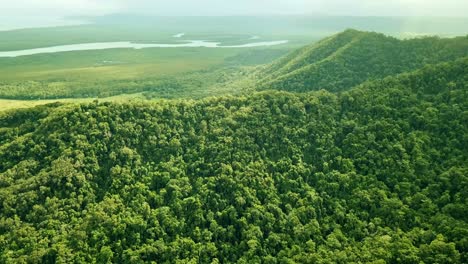 Panoramic-view-over-the-Daintree-rainforest