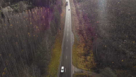 Aerial,-tilt-down,-drone-shot,-following-a-car-driving-on-a-dark,-asphalt-road,-between-pine-trees-and-leafless,-birch-forest,-sun-flares,-on-a-sunny-autumn-day,-in-Juuka,-North-Karelia,-Finland