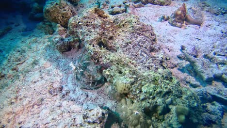 Broken-glass-on-the-seabed-of-the-coral-reef