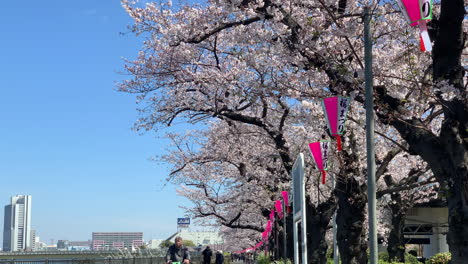 Kirschblüten-Und-Papierlampe