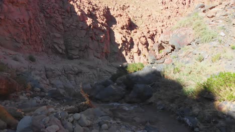 Aerial-cinematic-shot,-going-near-the-bottom-of-a-popular-giant-cactus-canyon-near-San-Pedro-de-Atacama-in-the-Atacama-Desert,-northern-Chile,-South-America