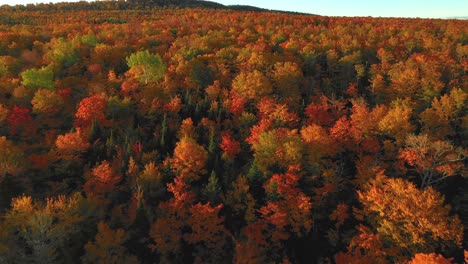 Luftaufnahmen,-Die-In-Vollen-Herbstfarben-Einen-Bewaldeten-Hügel-Hinauffliegen