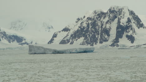 Iceberg-and-icefield