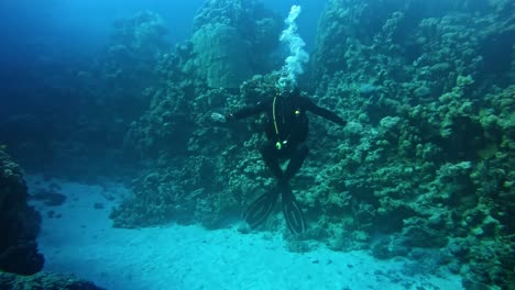 Diver-hoovering-surrounded-by-coral-reef