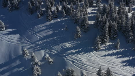 Aerial-view-panning-up-from-a-snow-covered-mountain-side-to-reveal-a-mountain-skyline,-with-pine-trees-and-sun