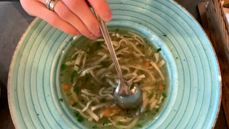 Traditional-Polish-chicken-soup-with-noodles-and-parsley