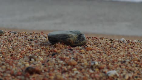 Isolated-stone-in-the-beach
