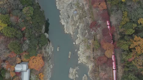 Japanese-train-travels-past-scenic-Arashiyama-in-Fall-colors-Aerial-4k