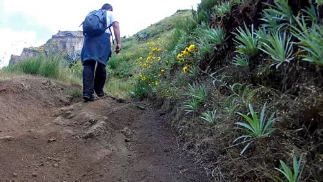 Detail-POV-Nahaufnahme-Weg-Wandern-Trekking-Durch-Den-Lorbeerwald-Laurissilva-Levada-Spaziergang-Areeiro-Zum-Pico-Ruivo-Berglandschaft-Die-Insel-Madeira-Unesco-Naturerbe
