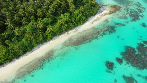 Beautiful-lagoon-texture-with-calm-clear-turquoise-water-over-coral-reefs-and-rocks-near-shore-of-tropical-island-with-palm-trees-forest-in-Barbados