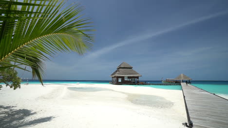 Tropical-pristine-white-beach-with-a-coconut-palm-and-turquoise-waters,-in-the-Maldives