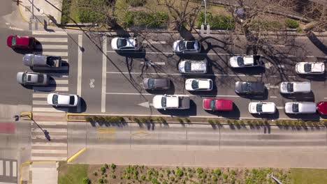 Aerial-top-down-of-cars-and-buses-driving-on-separate-lanes,-Buenos-Aires-Metrobus